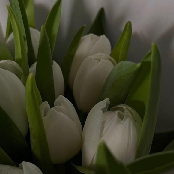 Meet your Posher, Matilda - Picture 1 of 1